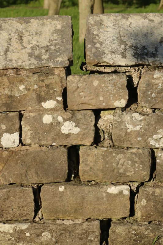 Stone Wall Repair in Bastrop, TX